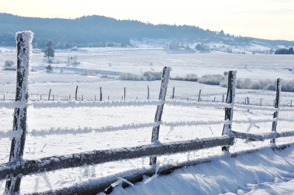 Platteland hek — Stockfoto