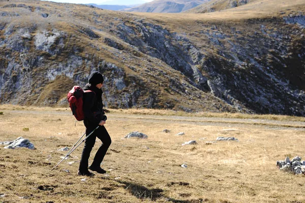 Sırt çantası, yürüme, doğada hiking — Stok fotoğraf