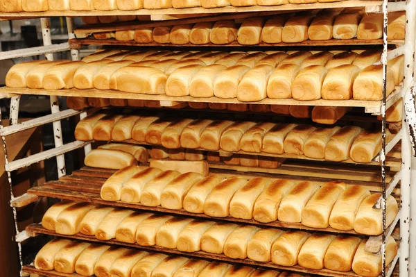Bröd på hyllor — Stockfoto