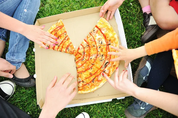 Pizza familie picknick — Stockfoto