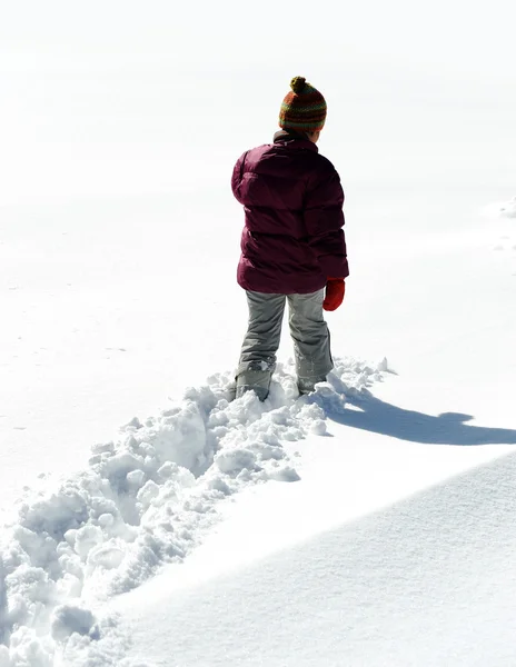 Wandern im Schnee — Stockfoto