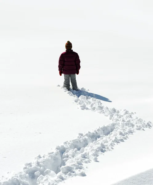 Περπάτημα στο χιόνι — Φωτογραφία Αρχείου