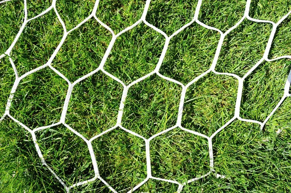 White football net on green grass background — Stockfoto
