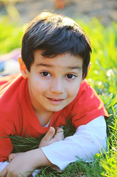 Маленький милый мальчик лежал на утренней летней траве с естественным красивым светом — стоковое фото