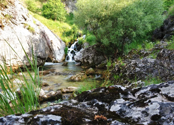 Río de montaña — Foto de Stock