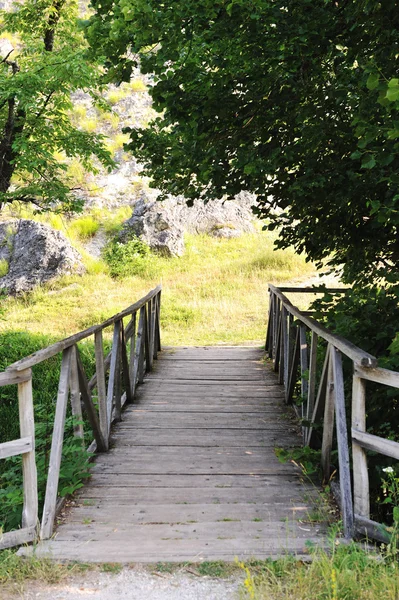 Holzbrücke im Wald — Stockfoto