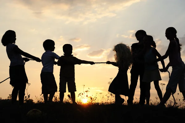 실루엣, 초원, 선셋, 여름에는 행복 한 어린이 들의 그룹 — 스톡 사진