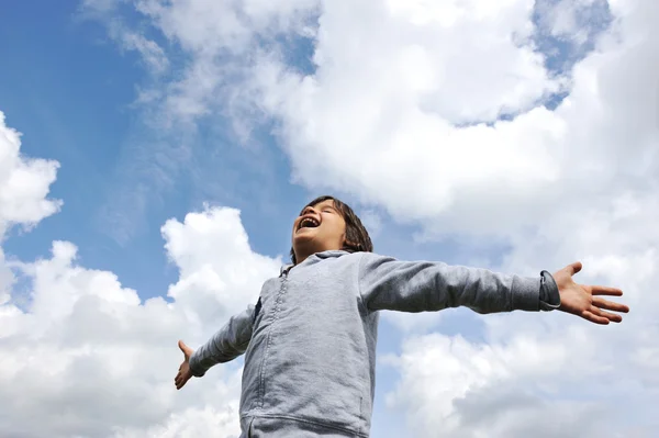 Little boy feeling a freedom on meadow in nature — Stock Photo, Image
