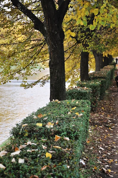 秋天场景、 公园、 树木、 小巷 — 图库照片