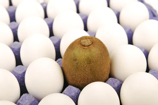 Alone kiwi, pretending to be an egg. White background. Unique concept, diff — Stock Photo, Image