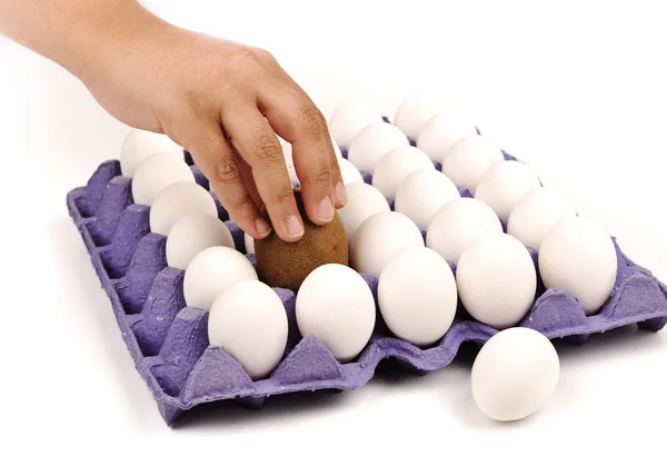 キウイは、卵を装ってします。白い背景。交換。人間の行動. — ストック写真