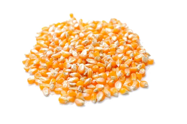 Sementes de milho — Fotografia de Stock