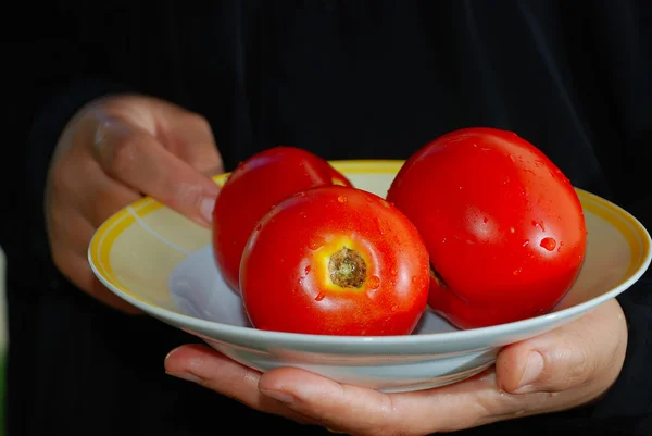 검은 배경으로 여성 손에 빨간 토마토 — 스톡 사진