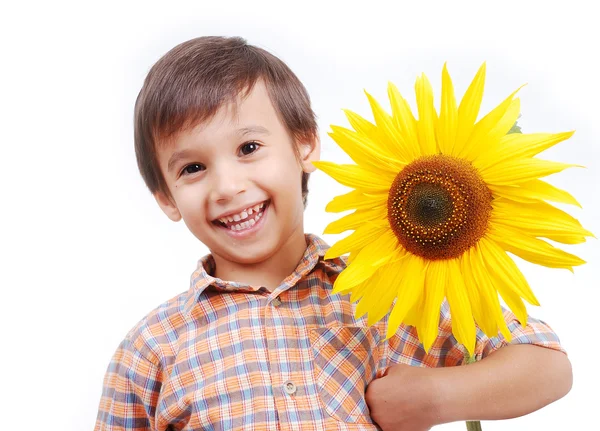 Very cute boy hugging sunflower as friend — Stock Photo, Image