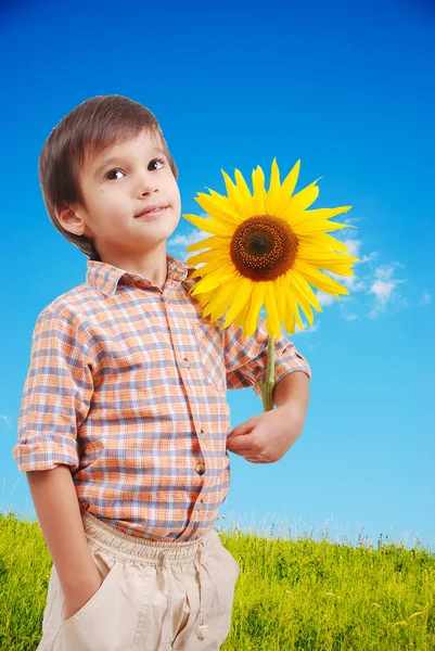 Very cute boy hugging sunflower as friend — Stock Photo, Image