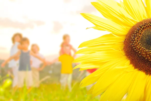 Щасливий дитячий садок на зеленому лузі, позаду соняшника — стокове фото