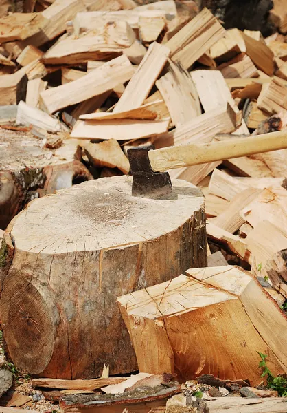 Drewno przygotowane z siekierą na zimę — Zdjęcie stockowe