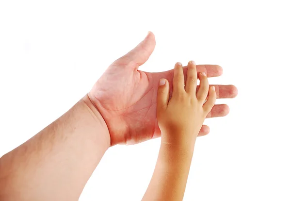 Padre e hijo, manos juntas sobre fondo blanco —  Fotos de Stock