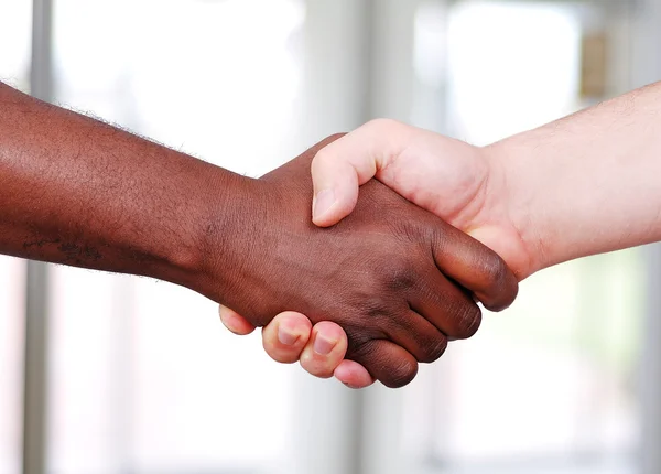 Shaking hands, black and white in the office — Stock Photo, Image