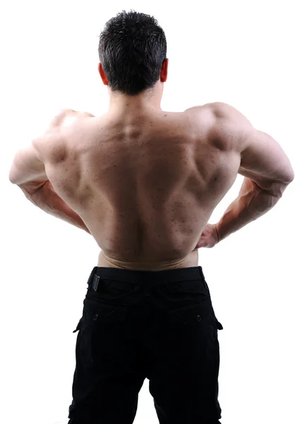 Den perfekta manliga kroppen - awesome bodybuilder poserar Stockfoto