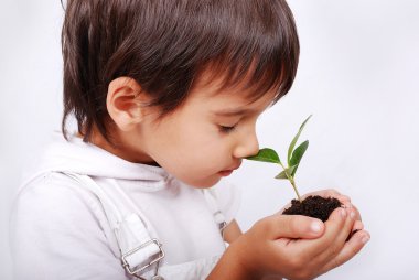 Little cute child holding green plant in hands clipart