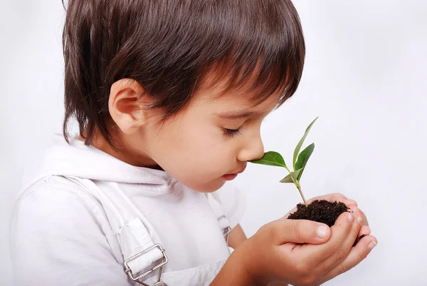 Kleines süßes Kind hält grüne Pflanze in den Händen — Stockfoto