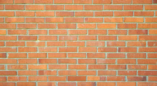 Mur en brique standard, couleur orange, bon pour la conception — Photo