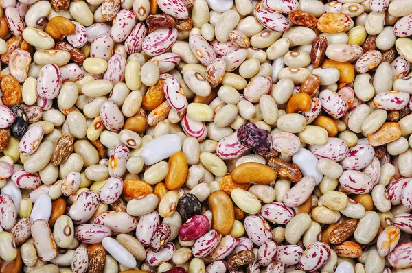 Mnoho kusů a mnoho druh fazole, Tapeta, vzor — Stock fotografie