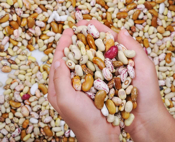 Many pieces and many kind of beans in hands, wallpaper, pattern — Stock Photo, Image