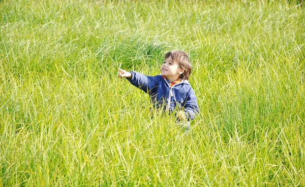 Happy childhood, outdoor, nature scene — Stock Photo, Image