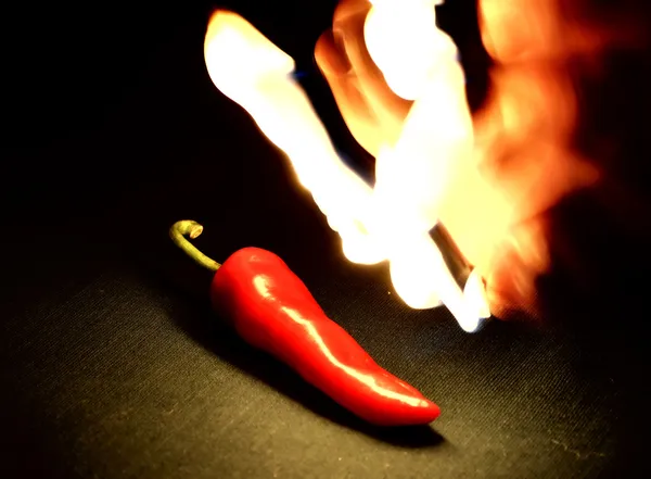 Flamme auf rotem Paprika — Stockfoto