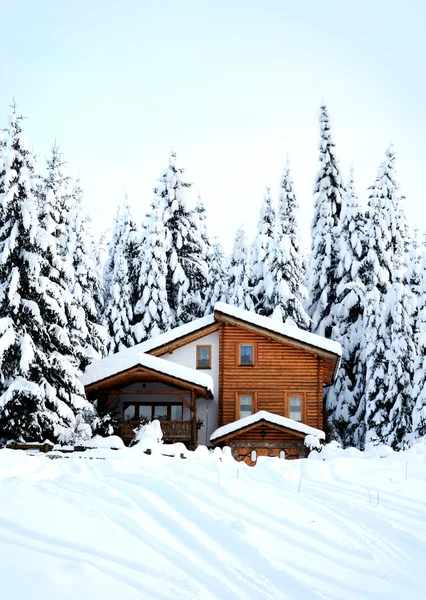 Красивий зимовий ліс і романтичний дерев'яний будинок — стокове фото