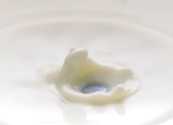 牛奶滴 — 图库照片