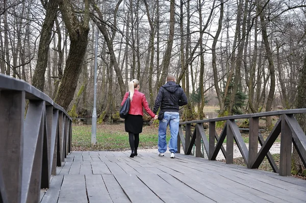 Пара в парку йде пішки — стокове фото