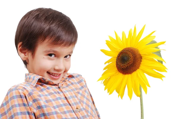 Дуже милий хлопчик стоїть за соняшником як друг — стокове фото