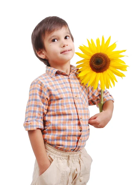Zeer schattige jongen knuffelen zonnebloem als vriend — Stockfoto