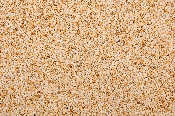 stock image Sesame