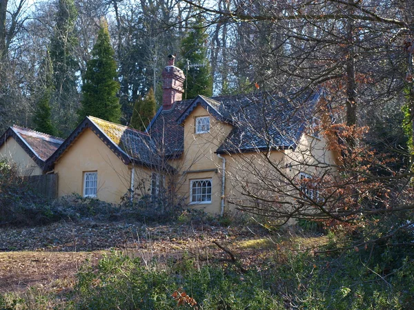 Haus im Wald — Stockfoto