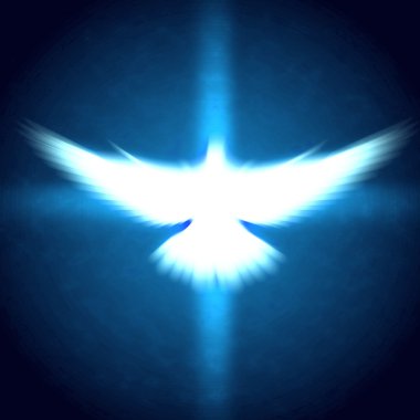 Shining dove with rays on a dark clipart