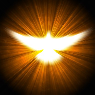 Shining dove with rays on a dark clipart