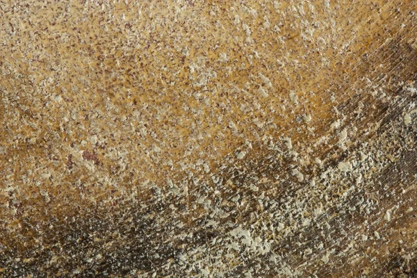 Pedra suja áspera — Fotografia de Stock