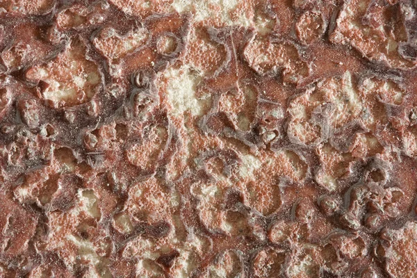 Textura de pedra com fibras — Fotografia de Stock