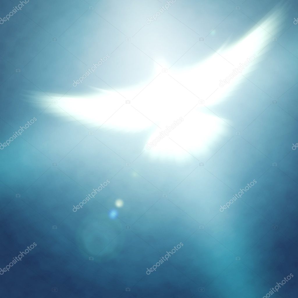 Shining dove
