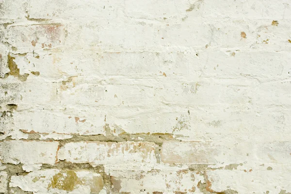 오래 된 흰 벽 — 스톡 사진