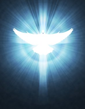 Shining dove with rays on a dark clipart