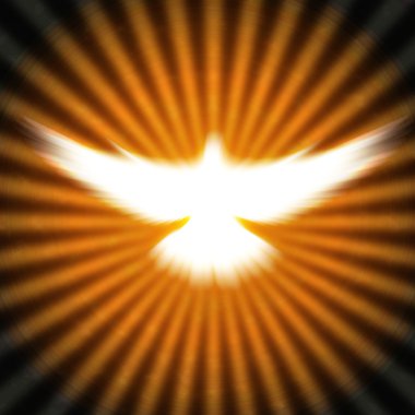 Shining dove with rays on a dark clipart