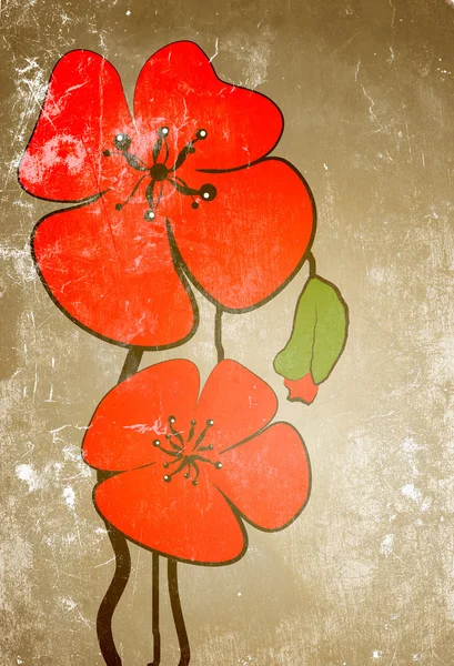 Poppies on the old grunge texture — Stock Photo, Image
