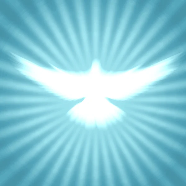 Shining dove with rays on a dark — Stock Photo, Image