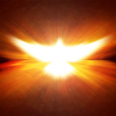Shining dove with rays on a dark