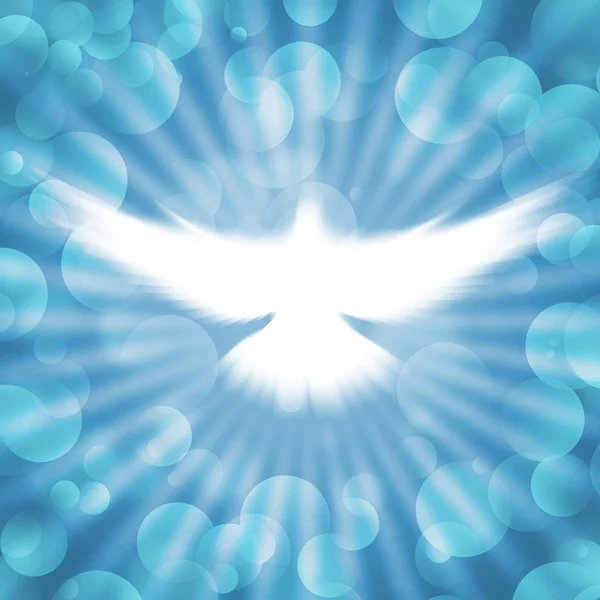 Shining dove with rays on a dark — Stock Photo, Image